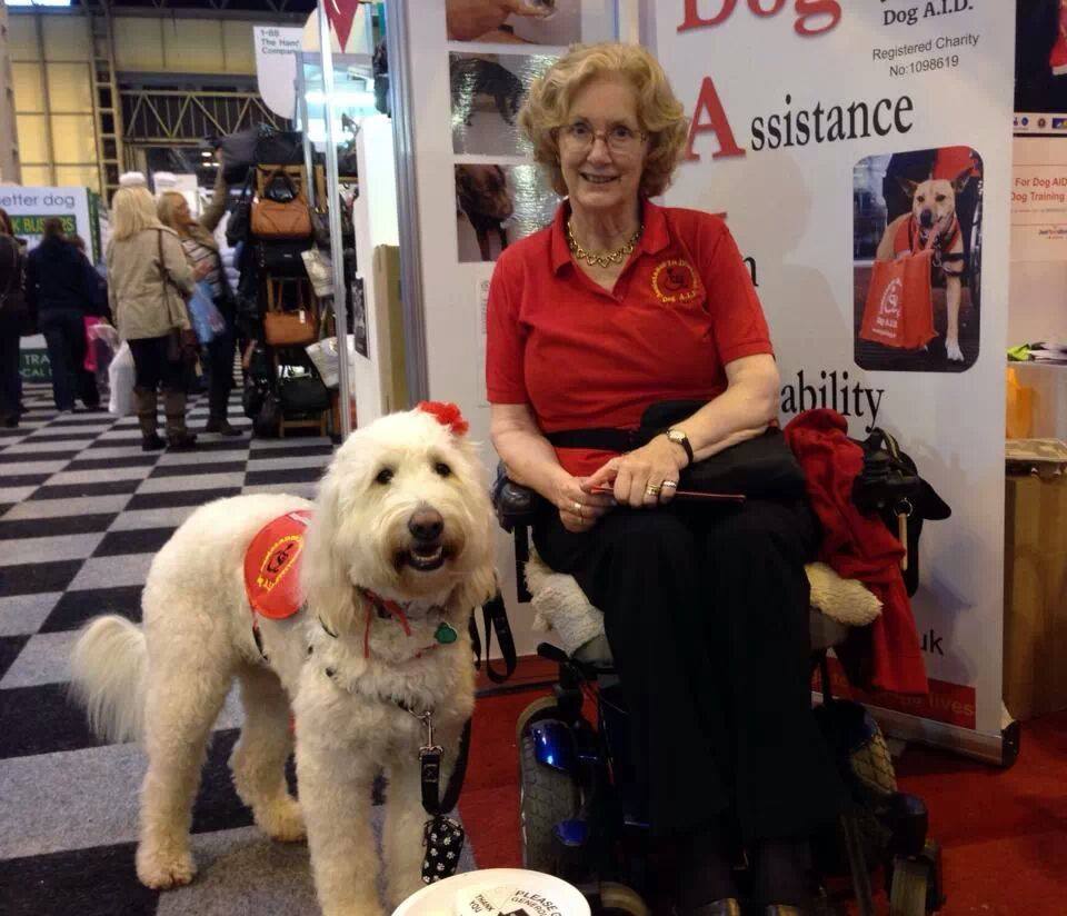 The lovely Elsa and her Mum looking lovely and meeting new friends on our stand at Crufts. One of our great teams in training.