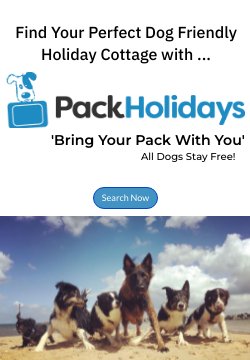 Pack_Holidays_Sidebar_ad-High-Quality_2.jpg