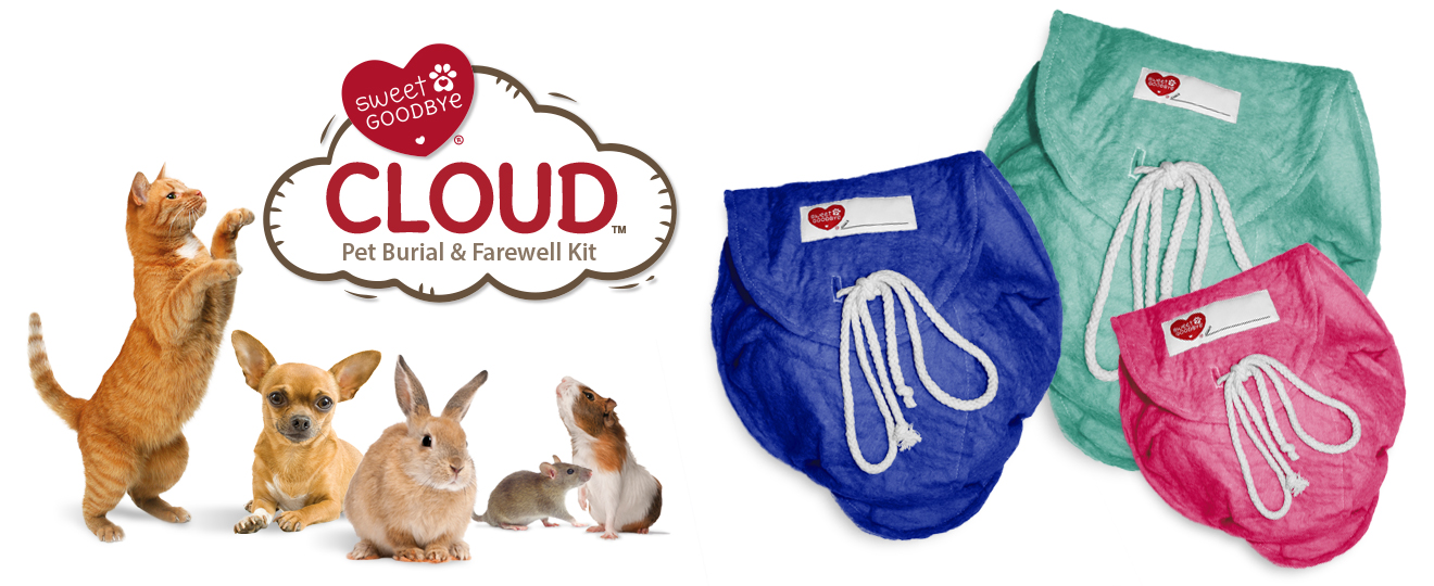 SG Cloud Kit