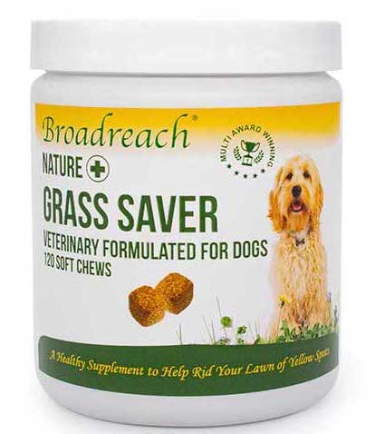 Grass Saver For Dogs