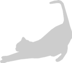 grey cat stretching icon