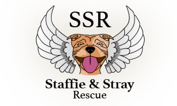 ssr logo