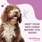 PetStay Staffordshire - Dog Home Boarding