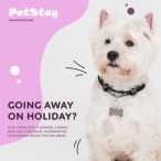 PetStay Norfolk | Become A Dog Carer