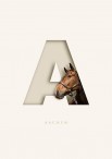Oh So Portraits  | Horse in Letters