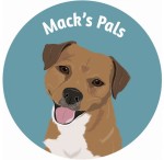 Mack's Pals Pet Groomer