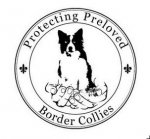 Protecting Preloved Border Collies