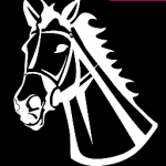 Tack Barn - Products for Horse and Rider - County Durham