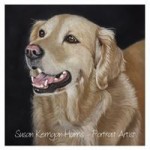 Susan Kerrigan-Harris - Pet Portrait Artist